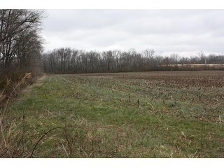 Property photo 22 - 438 +/- Acres Offered in 10 Tracts - Metcalf Farms - 6PM CST